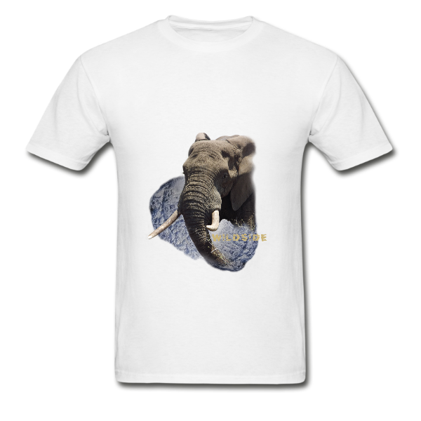 WILDSIDE ELEPHANT ON WHITE