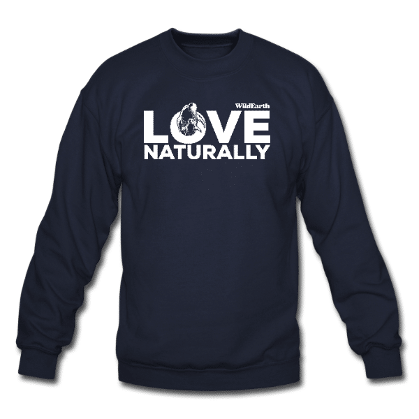 Being in Nature – Love (W) – Sweater