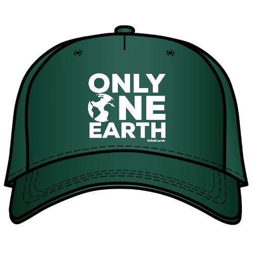 Only One Earth (w) – Cap