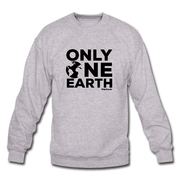 Only One Earth – Sweater