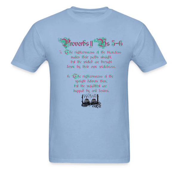 Proverbs 11 Unisex Custom Graphics T-shirt