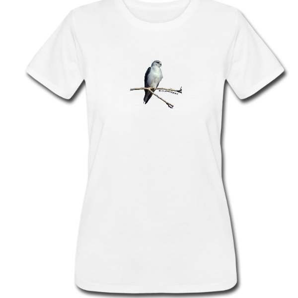 Black-shouldered kite ladies tee