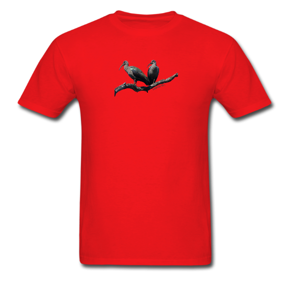 Hadeda Ibis unisex tee