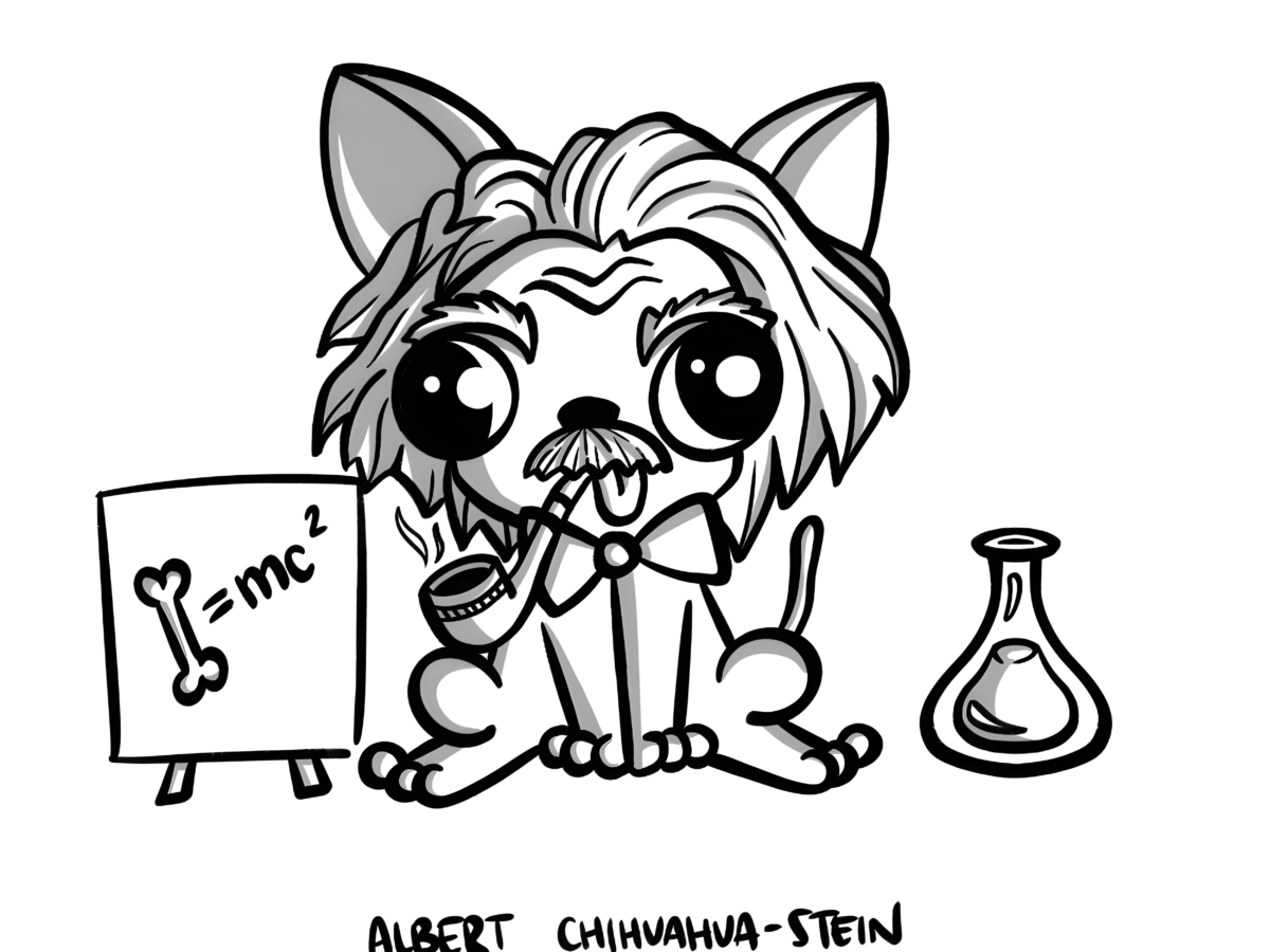 Albert Chihuahua-stein