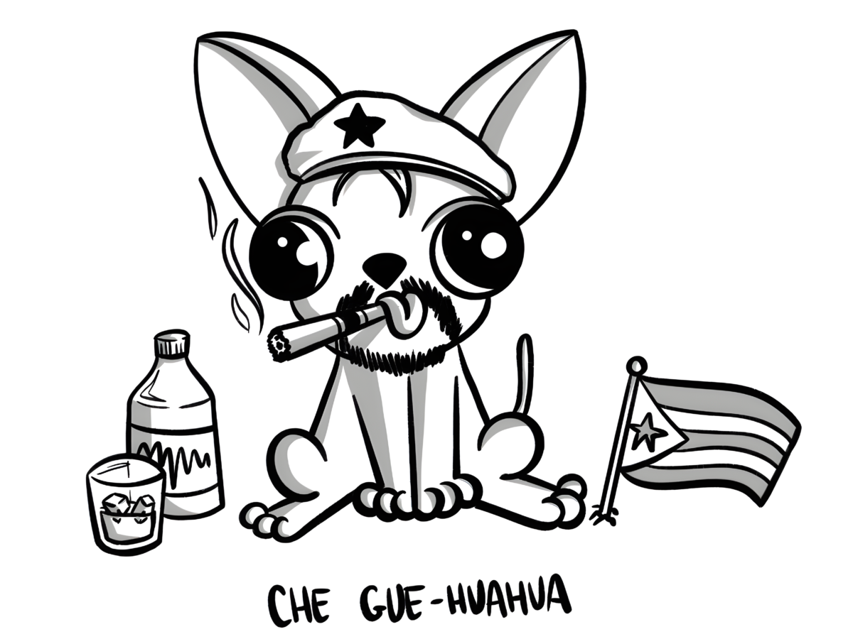 Che Gue-huahua