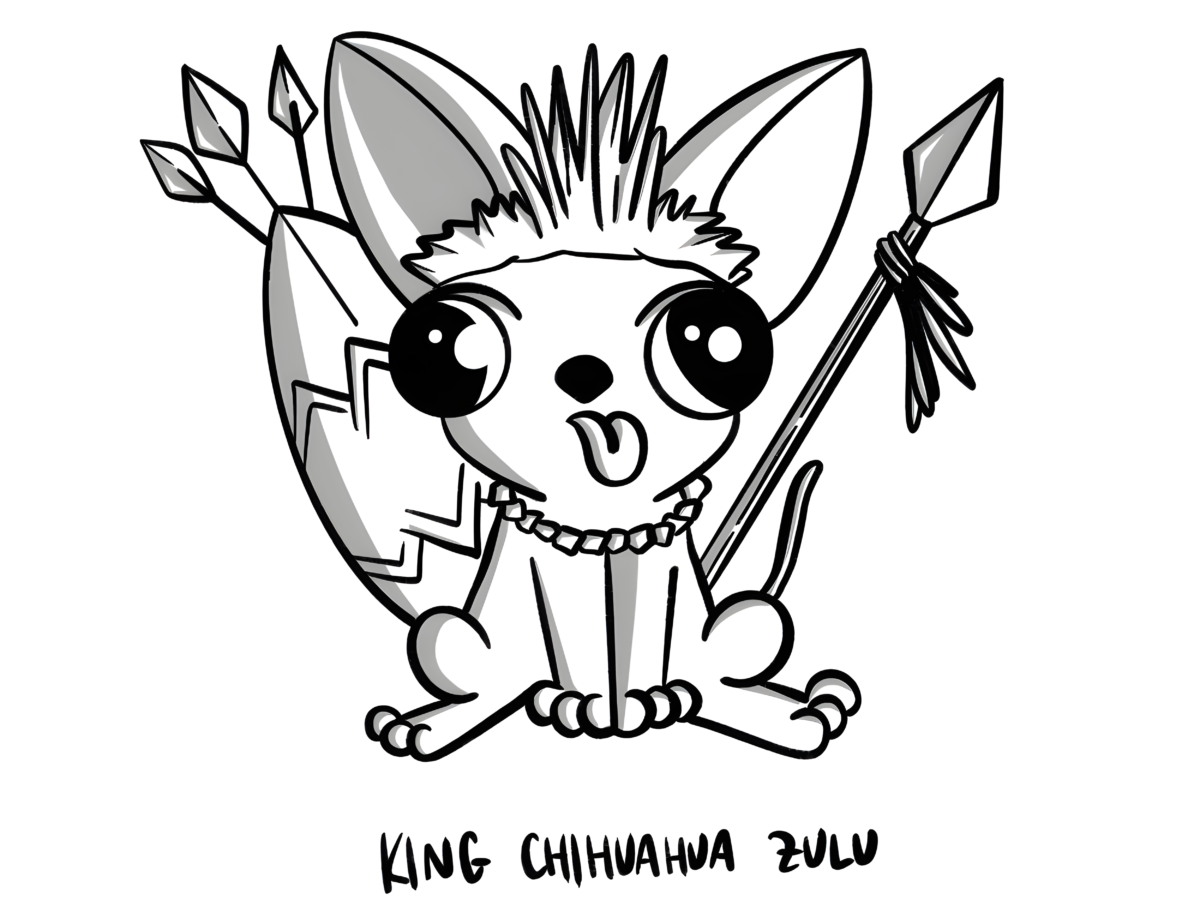 King Chihuahua Zulu
