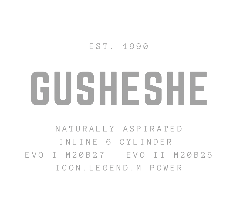 Gusheshe Tee