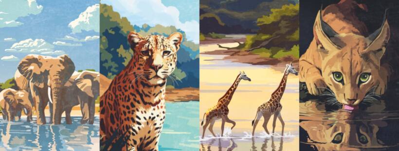 Africam
