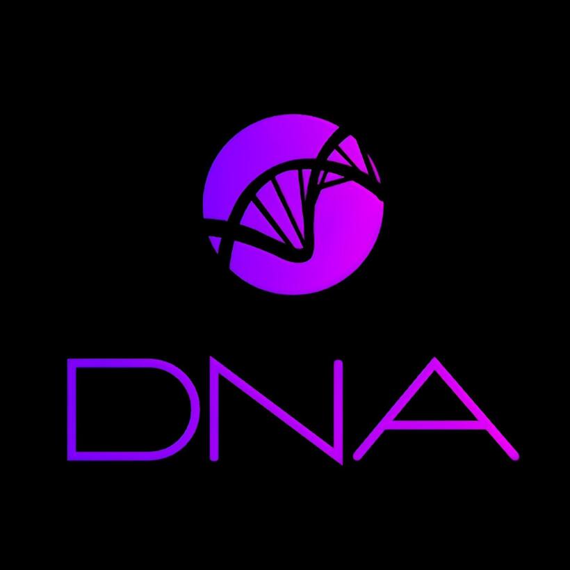 Dark Ninja Amalgam Pty Ltd