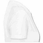 Hadeda562704Whiteright